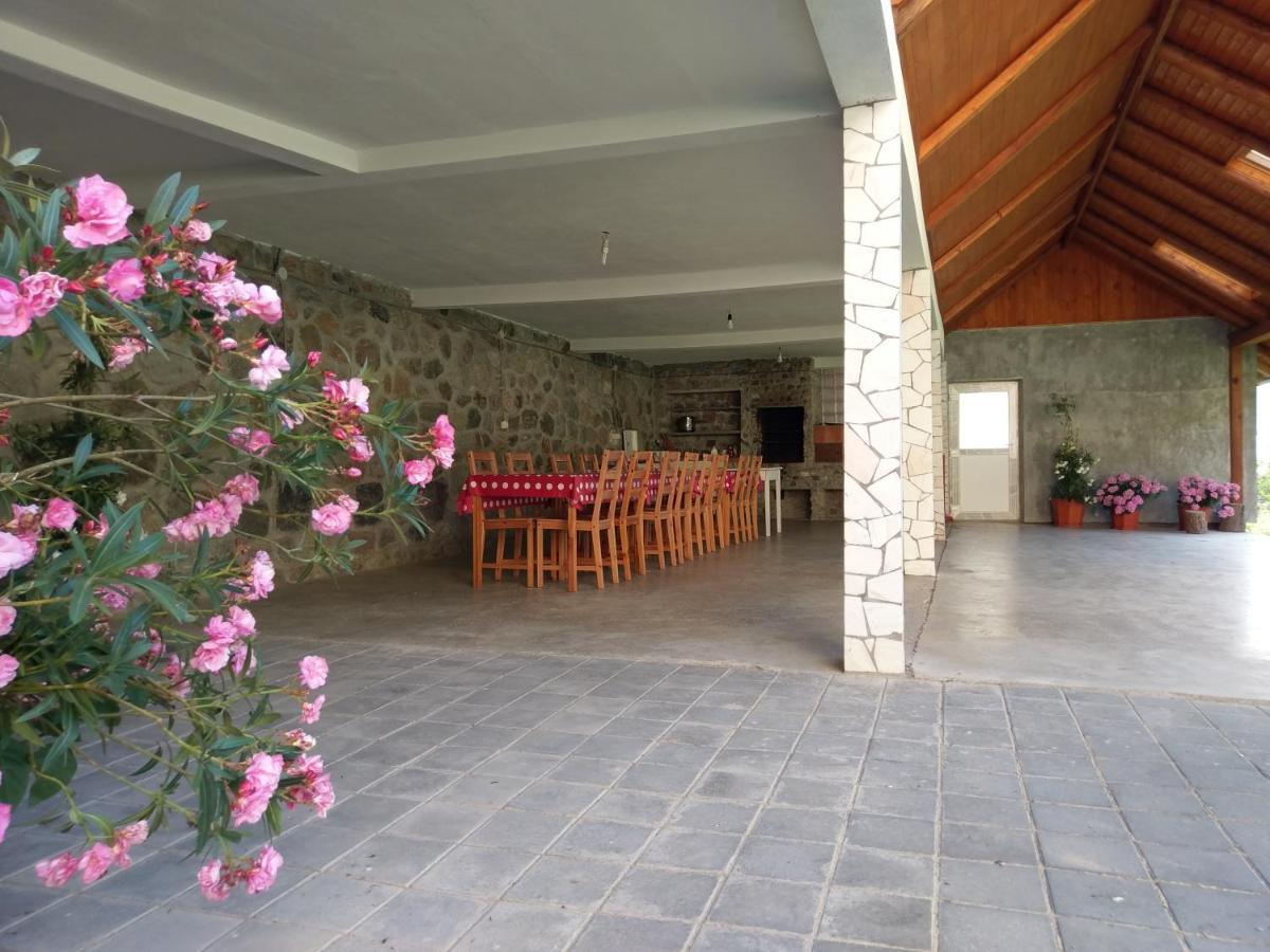 Pensiunea Tiuta Hotel Corbeni Luaran gambar