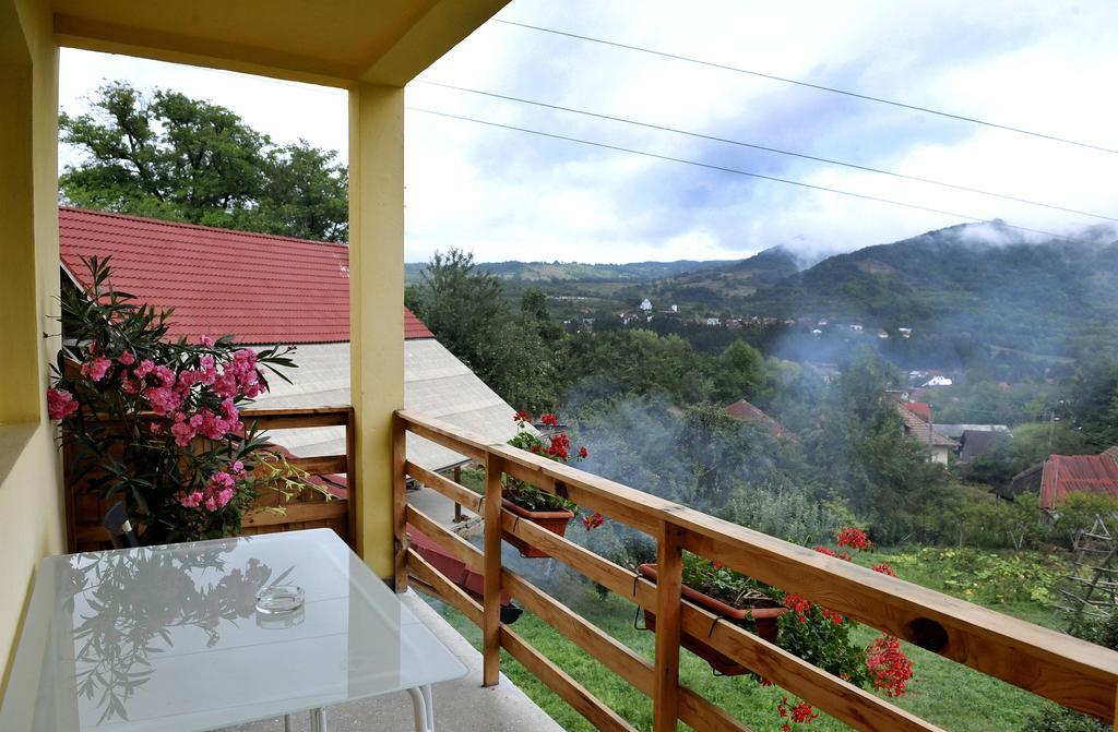 Pensiunea Tiuta Hotel Corbeni Luaran gambar