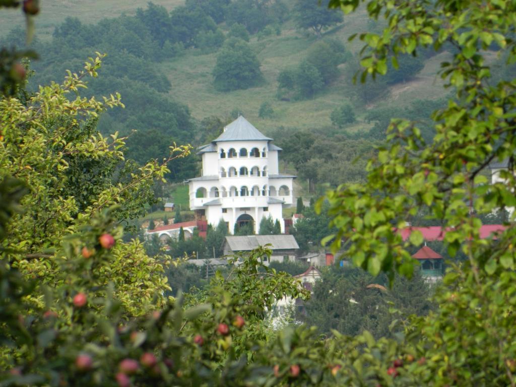 Pensiunea Tiuta Hotel Corbeni Luaran gambar