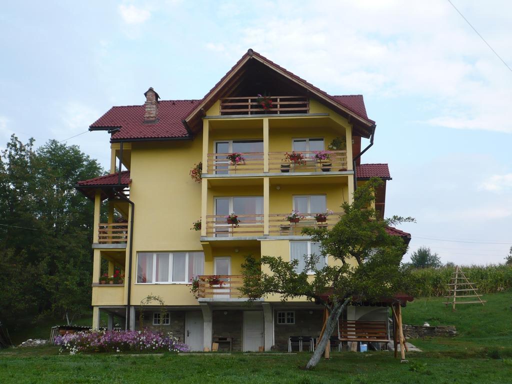 Pensiunea Tiuta Hotel Corbeni Luaran gambar